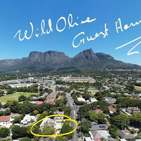 Wild Olive Guest House Cape Town Exterior photo